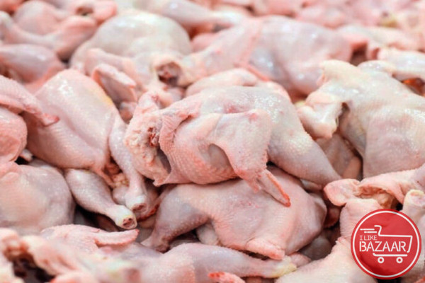 اولین تولیدکننده مرغ بدون آنتی بیوتیک کشور - رضوان