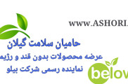 حامیان سلامت گیلان ( عاشوری )