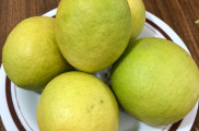لیمو ترش تازه و آبدار عمده ۲ تن