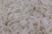برنج طارم شیرودی
