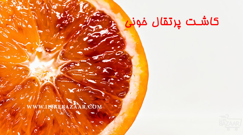 تصویر شماره روش کاشت پرتقال خونی در گلدان